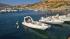 img-20260808-wa0002.